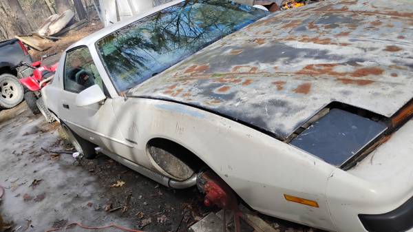 87 Firebird 1