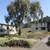 Coastal living at Baker Beach in the Presidio! Enjoy ocean views! 2 thumbnail