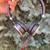 Jabra Evolve 40 UC Professional Wired Headset NEW 5 thumbnail
