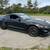 2018 Shelby GT-350 5 thumbnail
