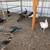 Peacocks 2 thumbnail