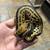 Clown het pied/ freeway/ leopard het clown / blackhead leopard 11 thumbnail