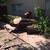 PROFESSIONAL TREE SERVICES 11 thumbnail