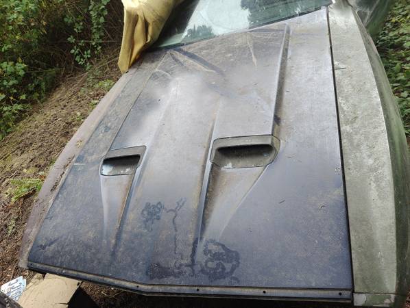 1971 Mustang Mach 1 hood 1