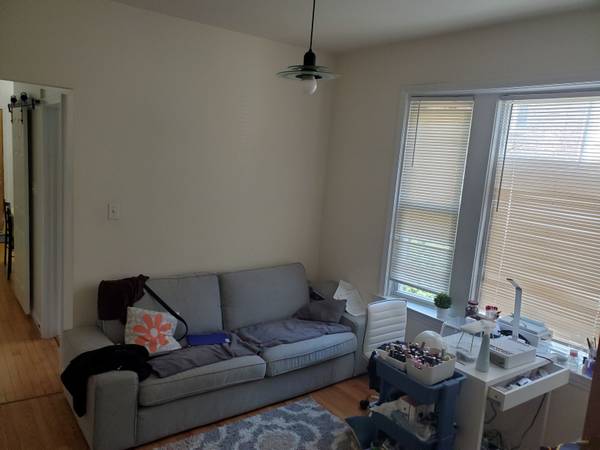 $1,800 / 2br - 850ft2 - UKRAINIAN VILLAGE TWO BR REHAB, IN UNIT LAUNDRY, ON QUIET LEAFY BLOCK! (Wicker Park)63781655045123120