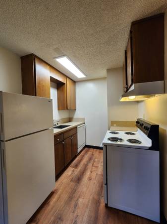 $1,695 Ground floor courtyard studio, close to bus/freeway (oakland piedmont / montclair)63824143088899124