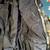 NEW North Face 90s Gore-Tex Jacket XL rare camo, ebay its $976 and HAT 5 thumbnail