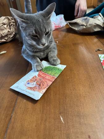 Twin Hearts Farm seed swap 1