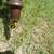 ANTIQUE CHAIR-OLD VERY DETAILED-NEEDS RECOVERING* 7 thumbnail