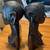 African Statues or bookends 2 thumbnail