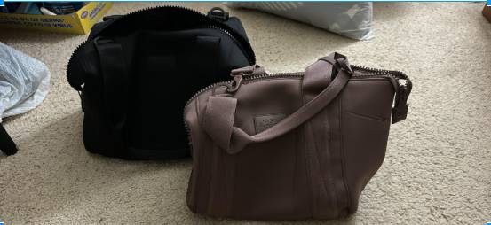 Dagne Dover bags 1