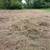 Land Clearing Brush Cutting 1 1/2 acres Wooded Area 5 thumbnail
