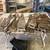 Hand saws 1 thumbnail