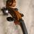 brand new 3/4 scale cello 6 thumbnail