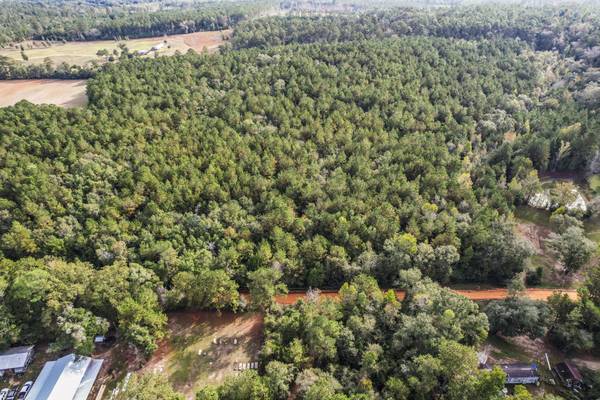 $99,000 9.5 Acres Boscosos en Chipley, FL - Alto y Seco, Tranquilo y Listo para Ti (Chipley)64193708813313123