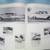 The Nifty Fifty Fords 11 thumbnail