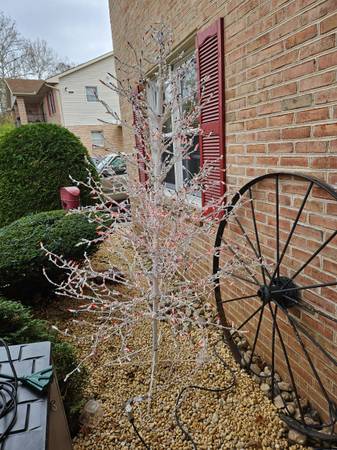 Outdoor Pre.lit Christmas Tree 1