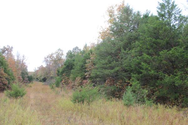 $3,600 0.4 Acres Near Izard County Golf – Act Fast! (Little Rock, AR)64312241045889120