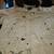Big/Tall Man Super Warm Spiewak Golden Fleece Winter Parka with Hood 8 thumbnail