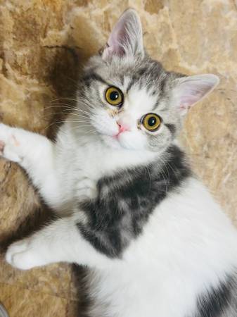 Buscando un hogar amoroso (Prosser)63411577543043122