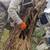 Humane Beehive Relocation: No-kill bee removal of whole hives & swarms 2 thumbnail