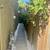 Charming Willow Glen Retreat – Furnished Room w/Private Bath Entrance 13 thumbnail