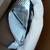 New 2000 Ford Focus passenger headlight assembly 1 thumbnail