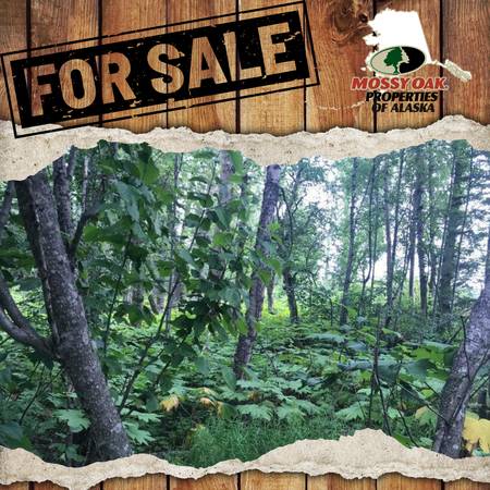 $18,000 Nice mostly level one acre lot (Nikiski/ North Kenai)64163340780033120