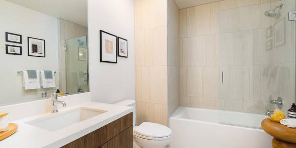 $5,329 / 1br - 639ft2 - Green Building, Gated Property, Full-Size Washer & Dryer (palo alto)63880248476161122