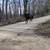 Fox Trotter Mare 12 thumbnail