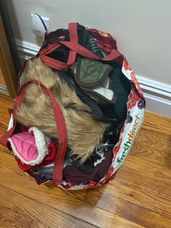 Free bag of dog clothes 1