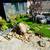🌿 Affordable Landscaping & Hardscape – Family Owned, Quality Work! 🌿 12 thumbnail