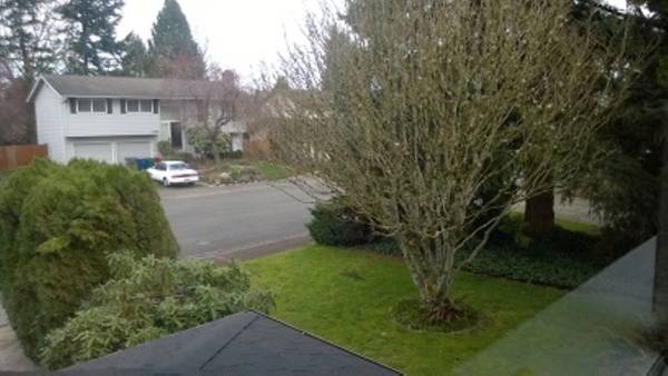 $3,650 / 4br - 2020ft2 - 4 BDRM - 3 Baths SFH ~ fenced yard 7K sqft lot in Totem Lake, Kirkland (Kirkland)63910195081603121
