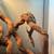 Reptiles 6 thumbnail