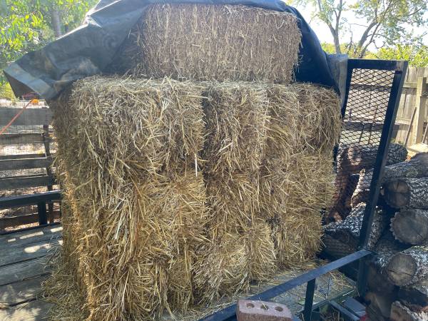 10 dry straw bales 1