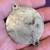 Vintage St. Christopher Badge Medallion Medal Sterling Silver Enamel 7 thumbnail