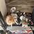 I have a two liters -one is Pomeranian parti and tri and the ot 10 thumbnail