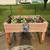 Flower/Vegetable Garden Box 1 thumbnail