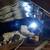 Attic Insulation removal - Insulation Installation - Rodent Proofing 6 thumbnail