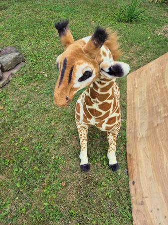 4' Jirafa de peluche, animal relleno, por Melissa and Dou - $50 (JORDAN)63437251413251122