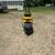1982 honda motocompo beautiful condition 11 thumbnail