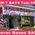FLORIST/FLORAL WHOLESALE TO PUBLIC 50 ROSES 39.99 100 FOR 99.99NEWPORT 11 thumbnail