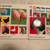 4 Children Books (My Big Dinosaur, My Big Animal, My Big Word, ABCs 11 thumbnail