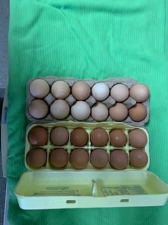 EGGS .. Fresh from Brown hens on pasture and organic feed. 1