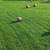 2025 Mixed Grass Hay For Sale 1 thumbnail