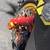 2013 YAMAHA ZUMA 125CC - CUSTOM JAPANESE - FULL CARBON FIBER 12 thumbnail