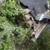 3 rail round fence 2 thumbnail