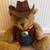 Cowboy Bear 1 thumbnail