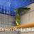 Parrotlet 3 thumbnail