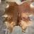 Brown Tan Cowhide Rug Cow Hide Rug 2 thumbnail